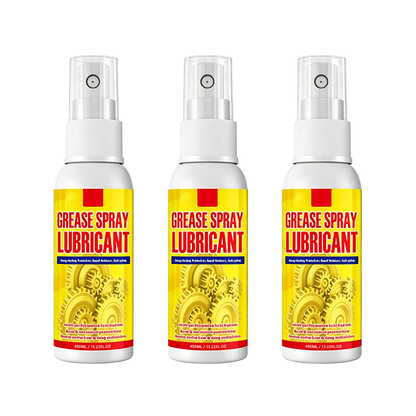 Anti-Rust Lubricant Spray & Rust Remover
