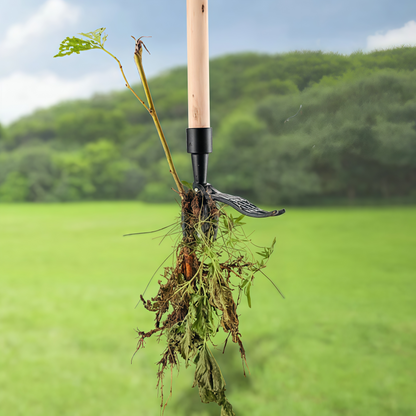 FloraFixer | Transform your garden into an oasis!
