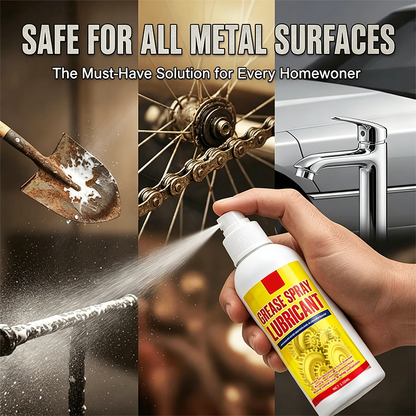 Anti-Rust Lubricant Spray & Rust Remover