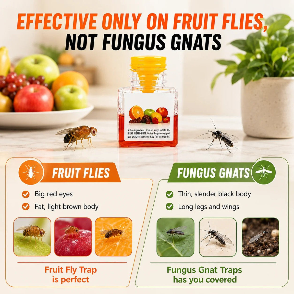 BUY 2 GET 1 FREE🔥Ultra-Strong Fruit Fly Trap - User Friendly (Up to 3 Weeks per Bottle)