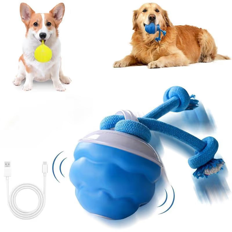🔥🎁The Chase Buddy Dog Boredom Stimulating Toy