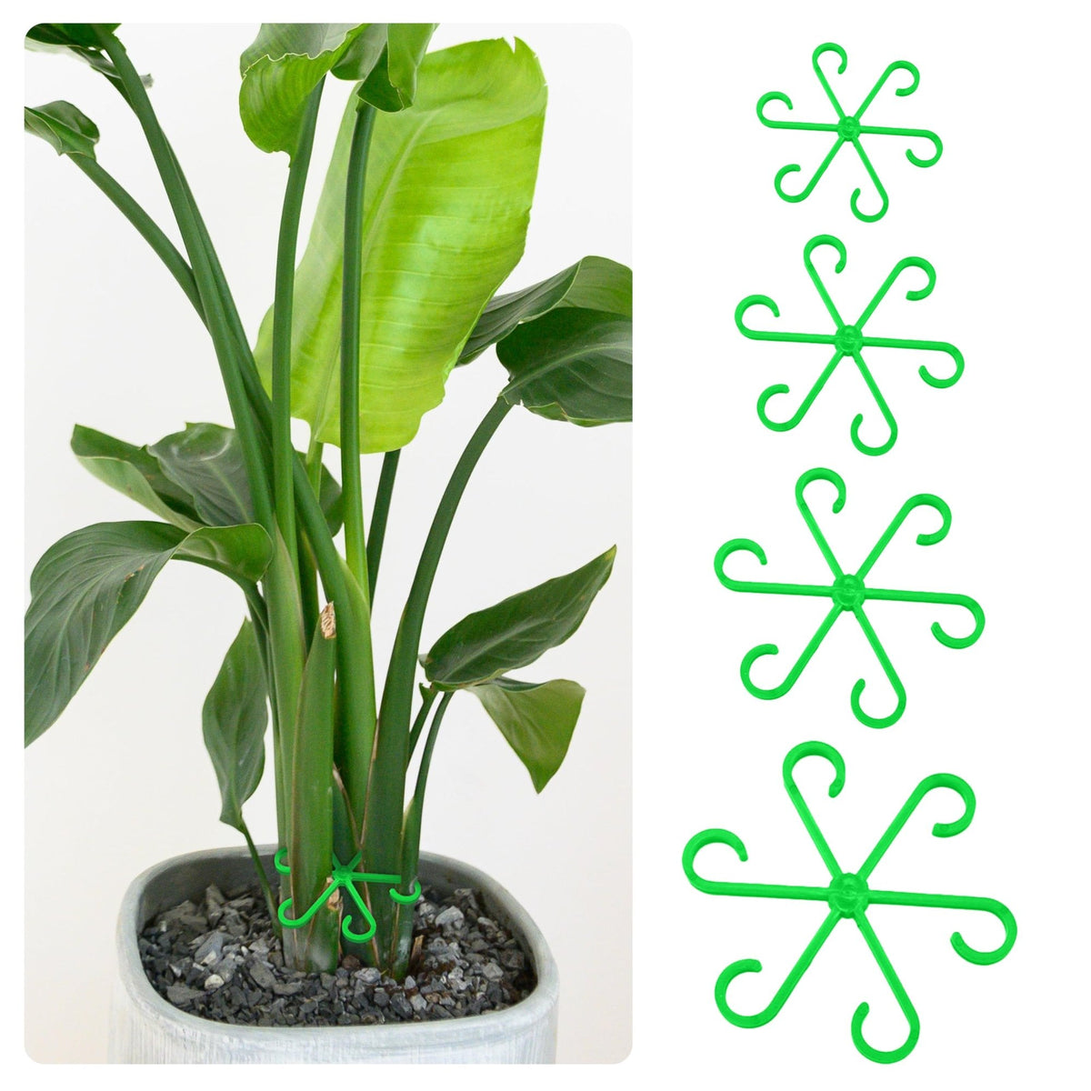 🔥🌿Plant Stem Support Set