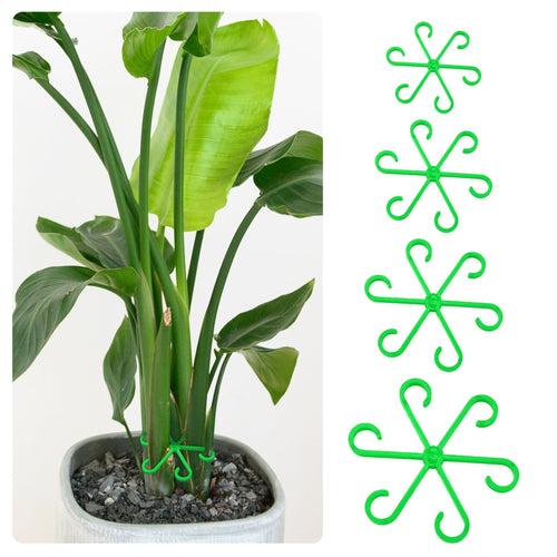 🔥🌿Plant Stem Support Set